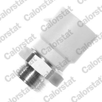 Supapă radiator Opel Vectra A 100-95 2-pin Ts1273-215