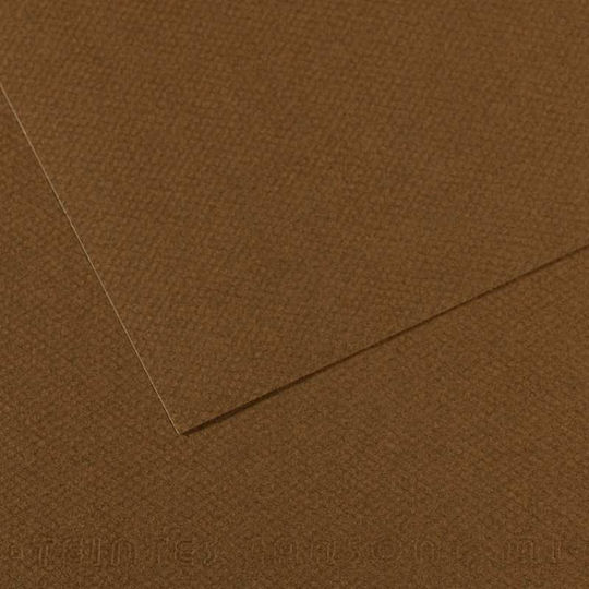 Χαρτι Canson Mi-teintes Α4 501 Tobacco