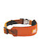 Zooland Neoman Collar Orange L 2.5x50-60cm