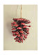 Hanging Hanging Ornament Pine Red with Glitter