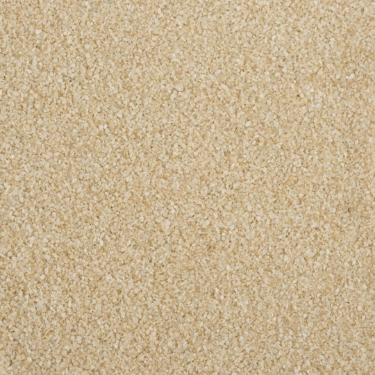 Colored Decorative Sand 0.5mm 250g Champagne