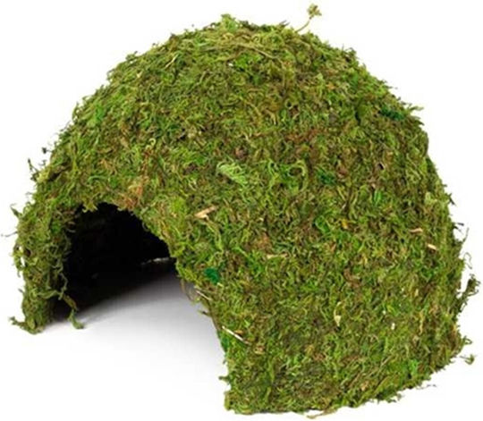 Shrimp Fish Nest Hobby Terrarium Jungle Cave 2 17x17x12 cm