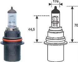 Magneti Marelli Λάμπα P21/5W-BAY15D-1157 Αλογόνου Magneti Marelli Λάμπα P21/5W-BAY15D-1157 Αλογόνου