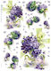 Reispapier Kalit Decoupage 32x45cm