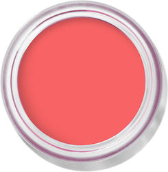 Bobbi Brown Pot Rouge Apricot Rush 8,5 g