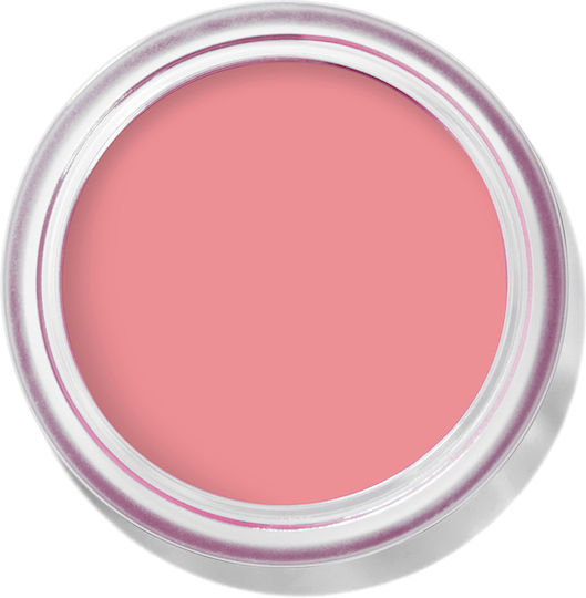 Bobbi Brown Ρουζ Petal Pink 8.5gr