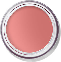 Bobbi Brown Ρουζ Muted Peach 8.5gr Bobbi Brown Ρουζ Muted Peach 8.5gr