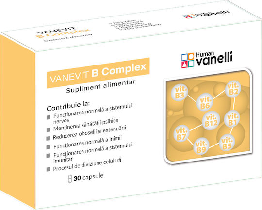 Ayurcare B-Komplex für Energie, Stärkung des Immunsystems & das Nervensystem 30 Mützen