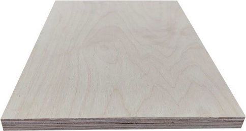 Κόντρα Πλακέ Θαλάσσης Σημύδα 16χ24 Cm Πάχος 12mm