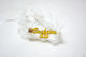 Junggesellinnenabschied Armband Plexiglas Gold