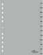 Divizoare Neochart 12 luni A4 plastic gri