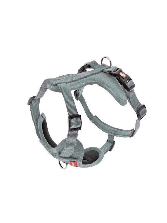 Cesare Harness Grey L: 2.5cm Neck 47-72cm Chest...