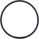 Ελαστικός Δακτύλιος O Ring D 151.7 X 6.99 44050101078 Astralpool