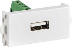 Roline Modulverbinder 25.99.8204 1x USB Buchse 1 Stk