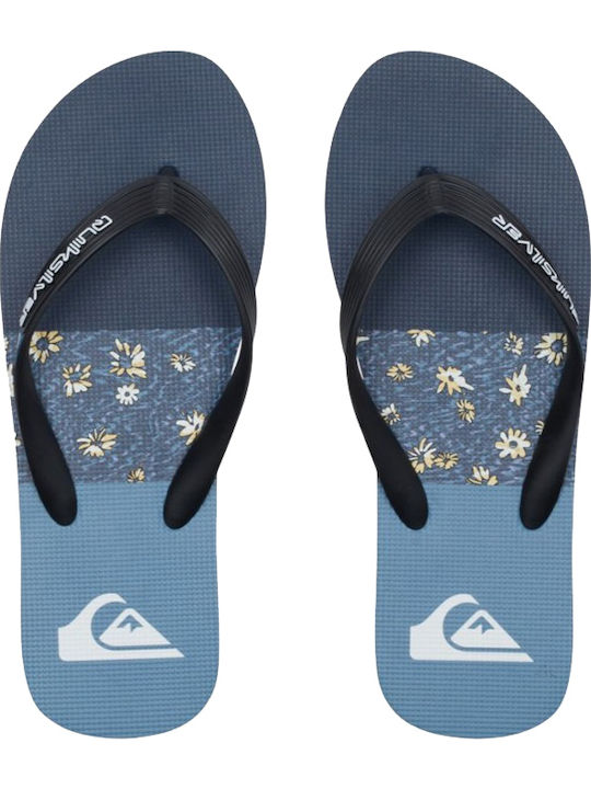 Quiksilver Molokai Panel Ανδρικά Flip Flops Μπλε