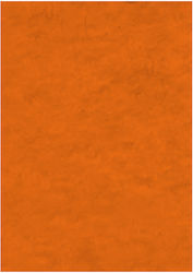 Τσοχα Werola Hobby Felt 20x30 10φ 75 Orange