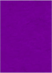 Τσοχα Werola Hobby Felt 20x30 10φ 81 Violet