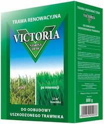 Greenmill Semințe