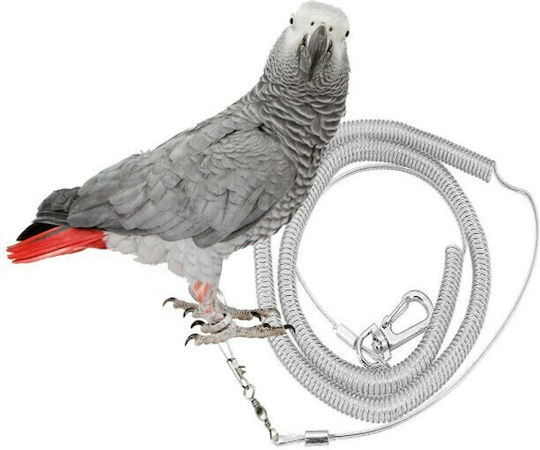 Lesă pentru picior Birds Kingdom pentru plimbare papagal M