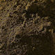 Buonarroti Iconography Powder 1 Kg Raw Umber