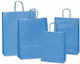 Paper Bag 16x8x21cm Light Blue 25pcs
