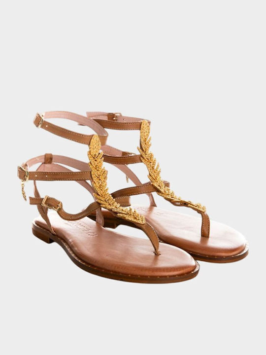 Caryatis Anatomic Σανδάλια Brown