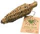Grassy Carrot Nature First Treat for Rodents