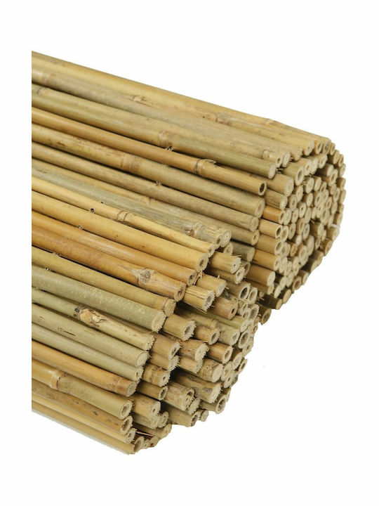 Ra-Ba Καλαμωτή με Ολόκληρο Καλάμι 2x4m