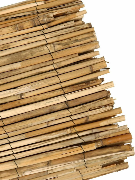 Ra-Ba Bamboo Fencing With Whole Reed 1x5m