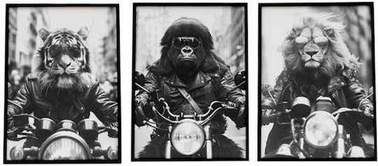 Frame "Animal Bike" 3 designs 20x25cm