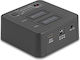 DeLock Docking Station for 2 Hard Drives PCIe (64300)