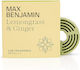 Rezerve odorizant auto Lemongrass & Ginger Max Benjamin