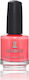 Jessica Glossy Βερνίκι Νυχιών Cnc-1194 Popsicle Kisses 14.8ml