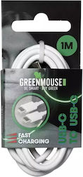 Green Mouse USB 2.0 USB-C male - USB-C 1m (66956596)