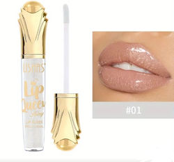 Ushas Lip Gloss