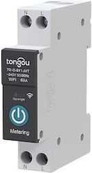 Ράγας Διακόπτης Ράγας WiFi 230V 63A
