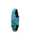 Collar with Artificial Diamonds for Neck 24 to 28 cm Width 14 mm Turquoise