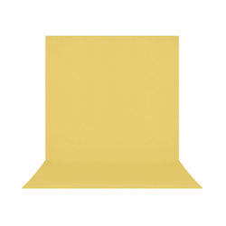Westcott Photography Backdrop FJW-541S
