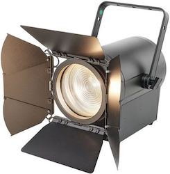 Elation Kl Fresnel 350W 8" WW