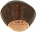 Terre Shaker Coconut Standard
