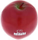 Nino Percussion Shaker Nino Nino Standard