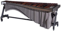 Adams Music Xilofon
