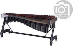 Adams Music Alpha XAHA35