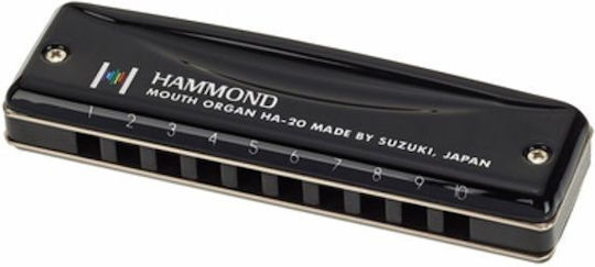 Suzuki Διατονική Φυσαρμόνικα Hammond G Τονικότητας G (Sol)