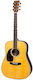 Martin Akustisch Gitarre Für Linkshänder