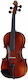 Gewa Allegro Va1 16" Viola With Case and Bow