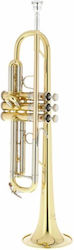 Vincent Bach Bb-trumpet Trumpet