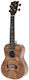 Flight Duc Konzert Ukulele