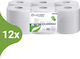 Lucart Eco 19j Environmentally Friendly Toilet Paper 19cm Diameter 2 Ply White 120m Carton 12 Rolls