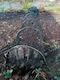 Flo Pflanzenschutz Tunnel 3x0.45x0.45m Schwarzes 89770